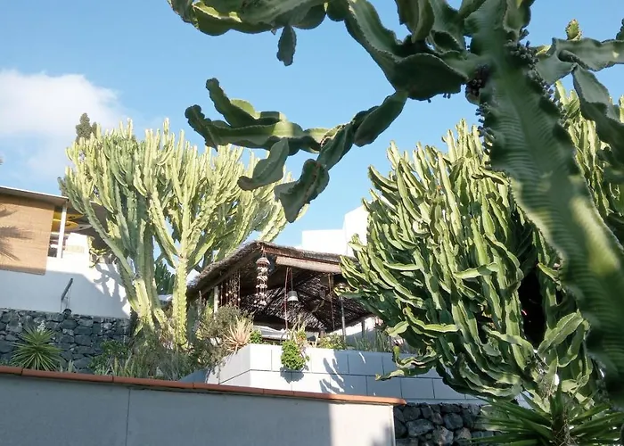 Apartamento Pardela