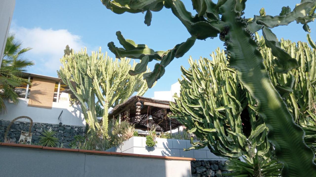 Appartement Pardela