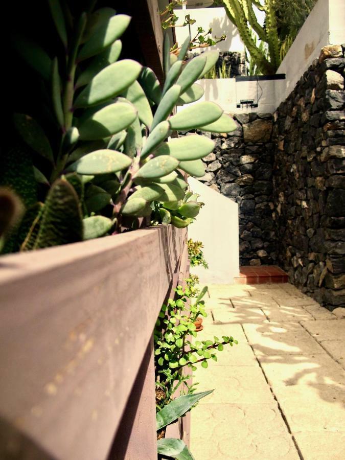 Pardela Appartement *
